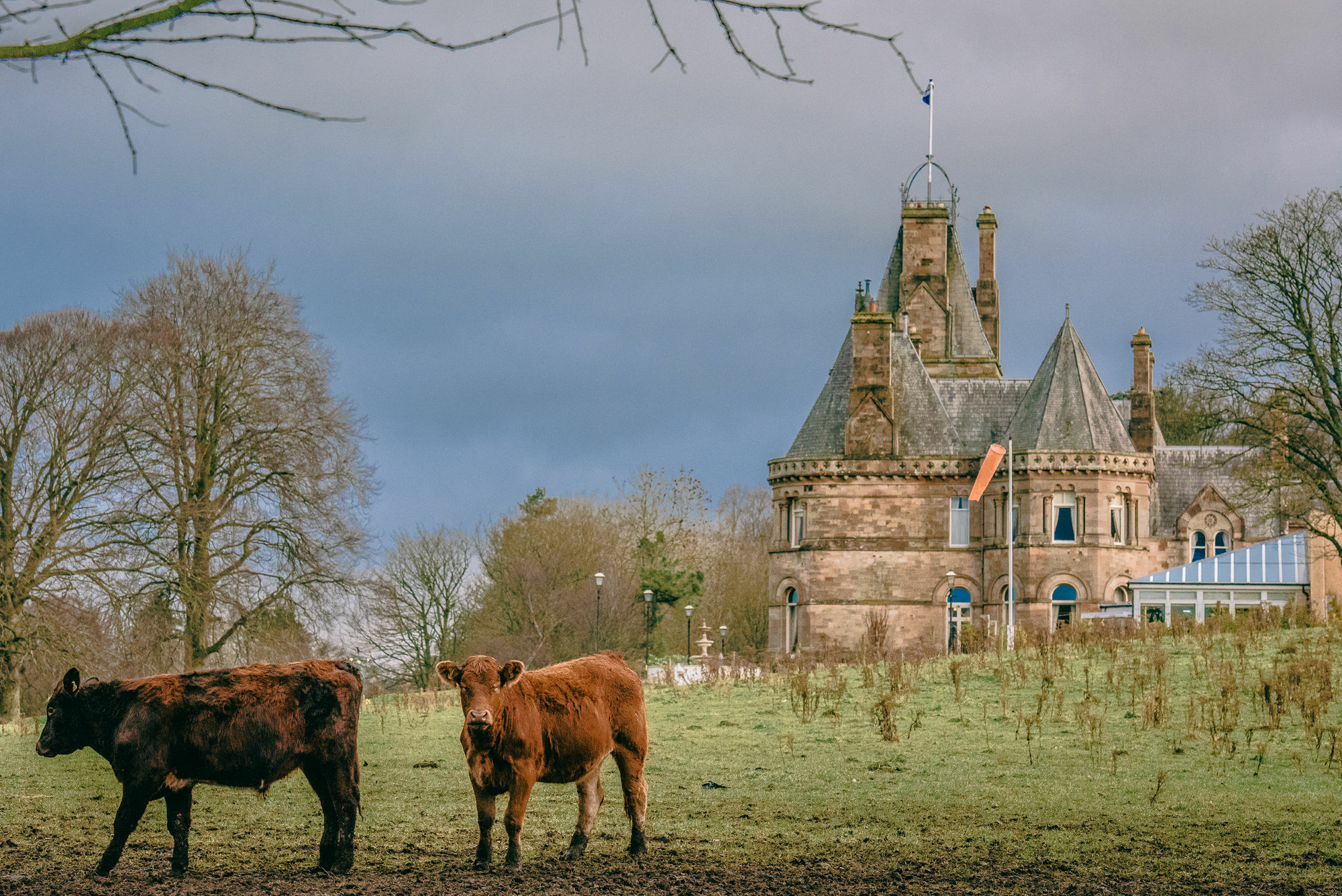 Cornhill Castle Hotel Biggar Exterior foto